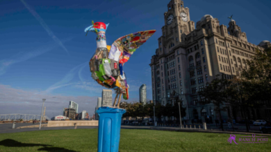 Liver Bird