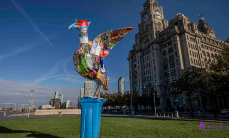 Liver Bird