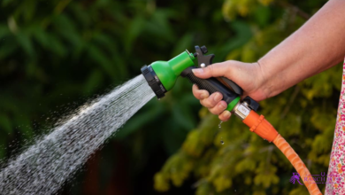 Hosepipe Bans
